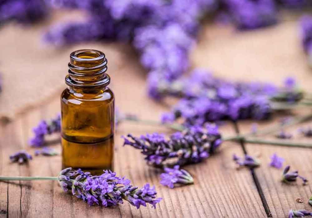 SLIDER LAVANDA 002